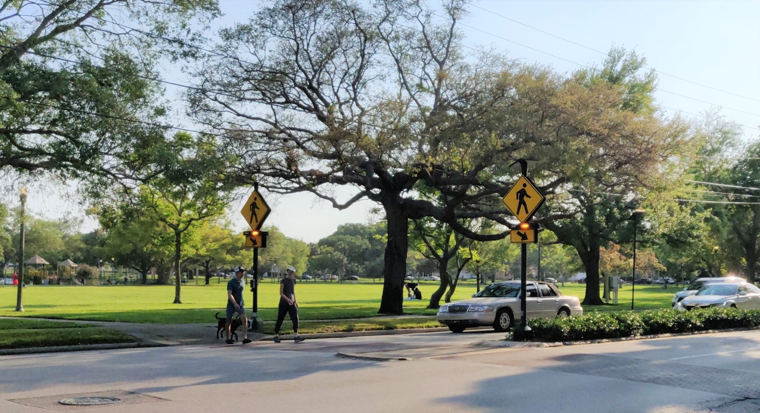 What is the risk of crossing the road?