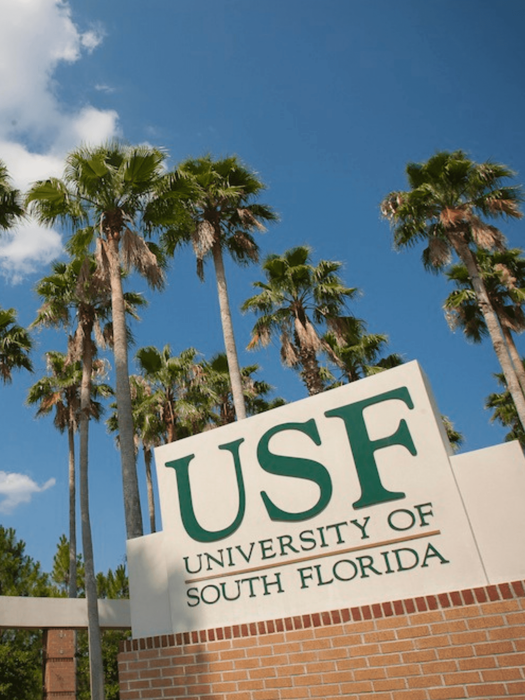 USF sign